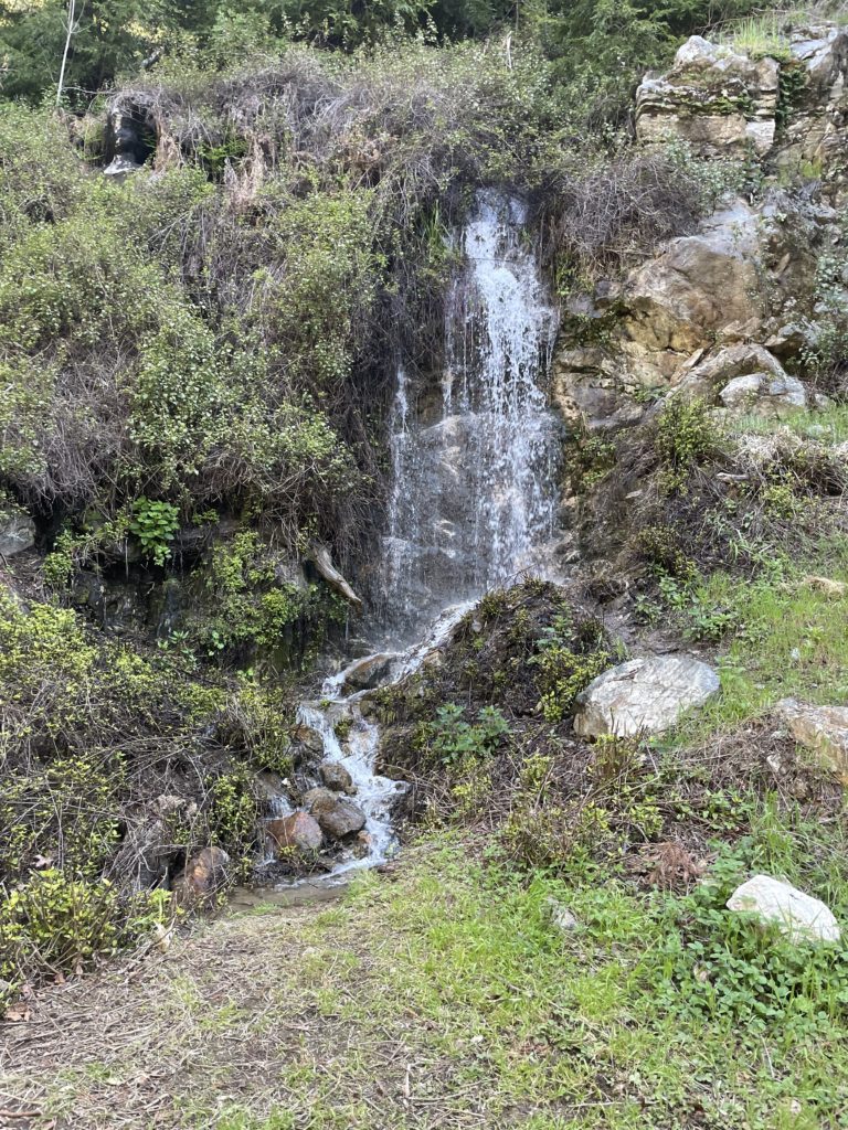 Big Sur California